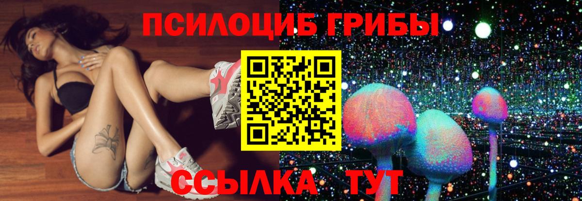 Галлюциногенные грибы мицелий Унеча